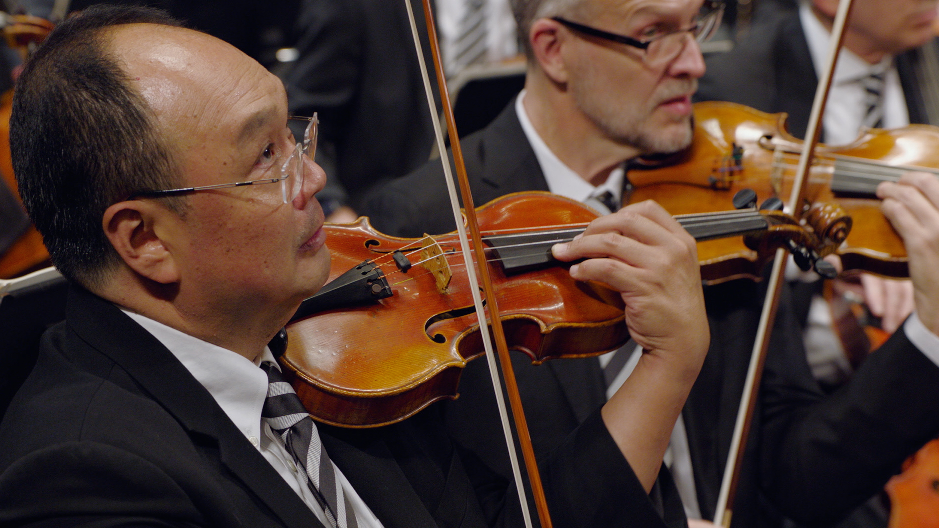 All-Star Orchestra Concertmaster Robert Chen